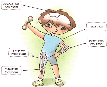 (בספר שלוש תמונות, היעזר במנחה)
